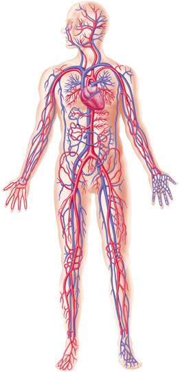 the chemistry of contrast agents in