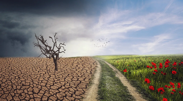 Klimaat