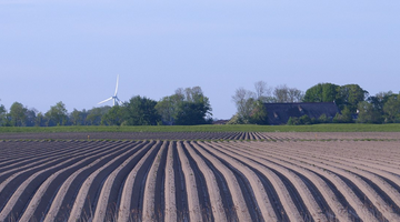 Landbouw