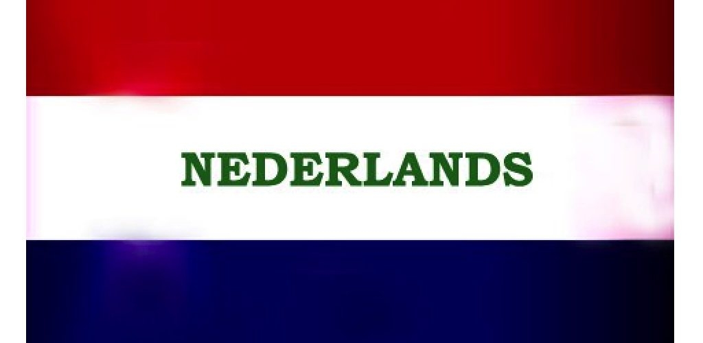 Extra Nederlands - Cursus Leesvaardigheid - Wikiwijs Maken