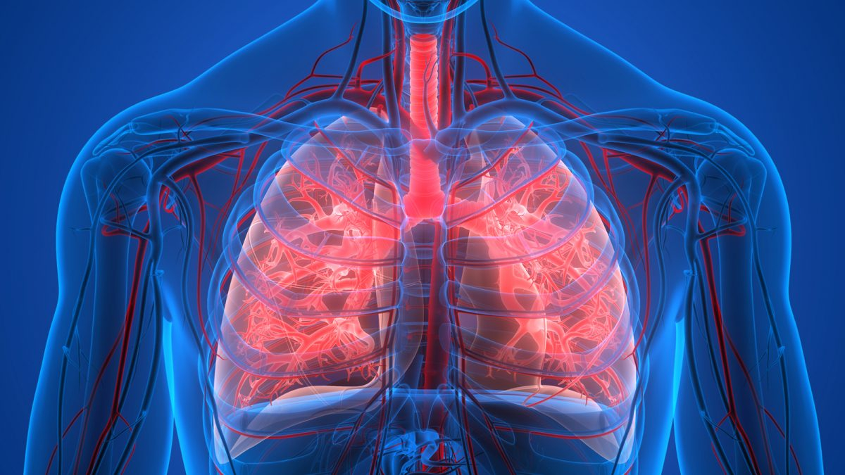 Verpleegkunde Jaar 1- Anatomie, Pathologie En Fysiologie - Wikiwijs Maken