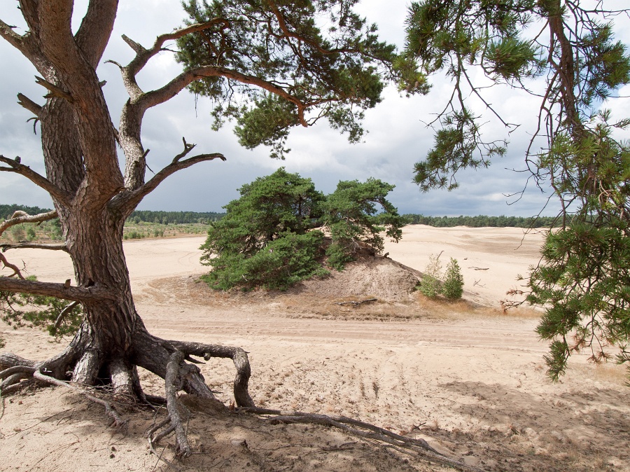 (bron: Bart van der Schagt / www.nlwandel.nl)