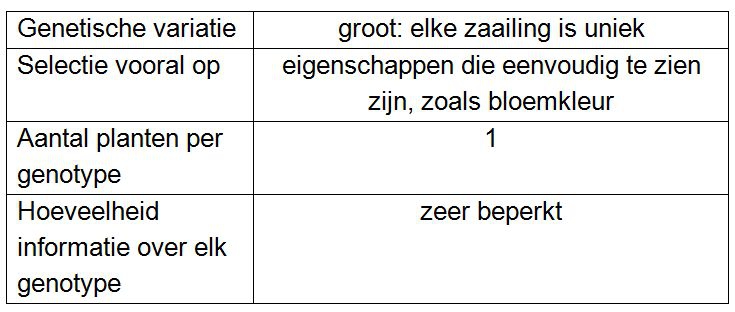 Enkele kenmerken van het eerste jaar van selectie in een vegetatief vermeerderd gewas. Bron: CAH Vilentum.