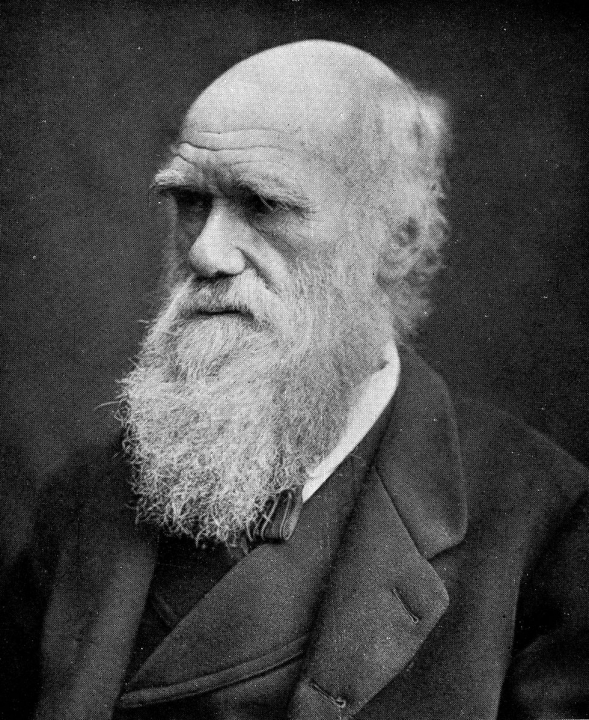 Figure 14.1. Charles Darwin (1809 – 1882).