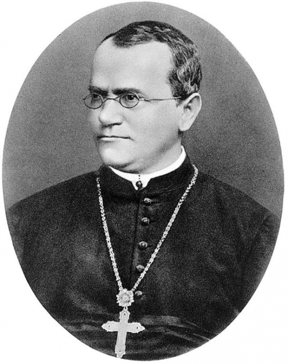 Figure 1.1 Johann Gregor Mendel – the founder of genetics 1822-1884