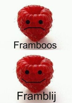 Framboos