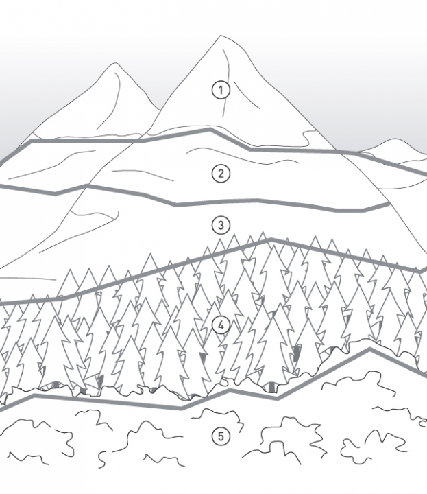 De hoogtegordels op een berg