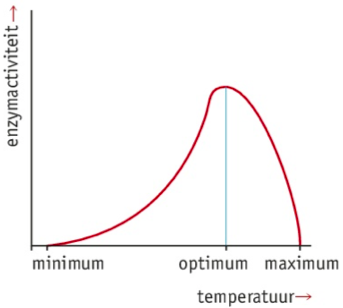 Optimumkromme