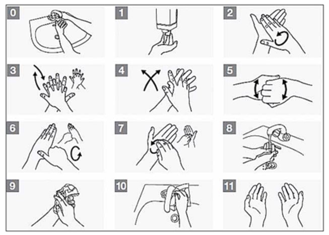 World Health Organization (2009). Poster: How to Handwash