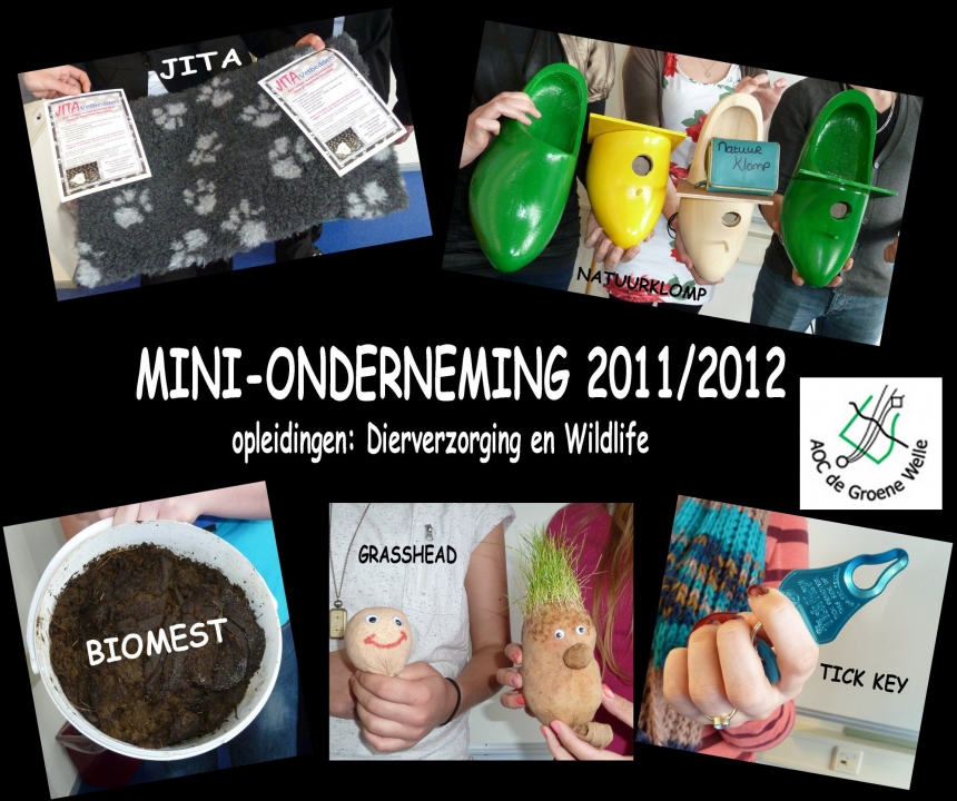 voorbeelden van voorgaande mini-ondernemingen