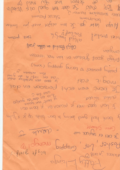 Dit heeft mijn klas over mijn karakter geschreven