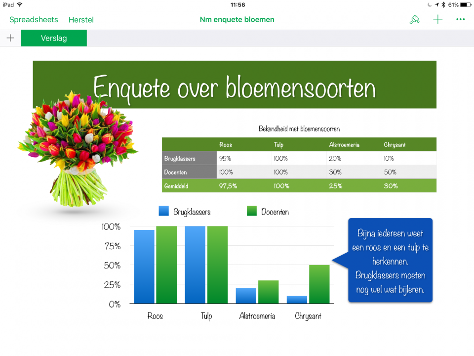 (klik/tap met je vinger om te vergroten)