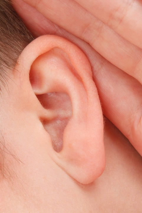 afbeelding 1: Closeup of a woman's ear with a hand Canon EOS 5D Mark II 