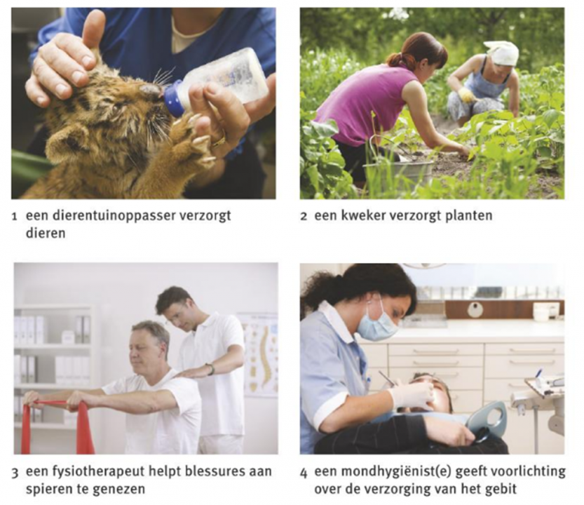 Beroepen in de biologie: afbeelding uit BvJ