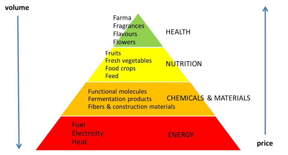 The biobased economy’s value pyramid indicates that biomass value is determined by its applications and end uses.