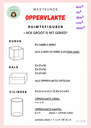 Oppervlakte van ruimtefiguren
