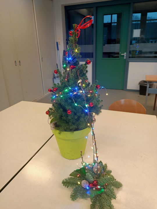 kerstbakje Lingecollege Tiel