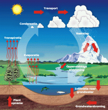 De kringloop van water