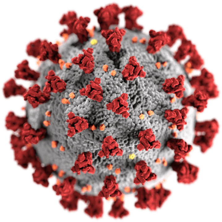 Het beruchte Corona-virus