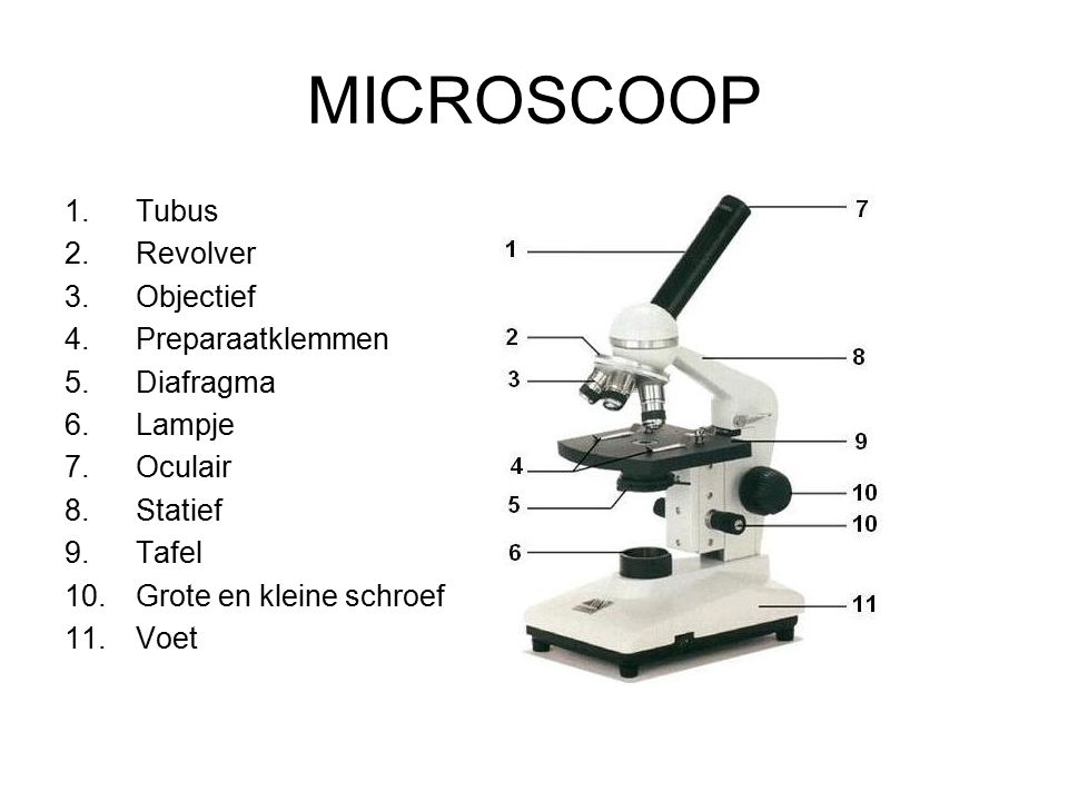 De microscoop met al haar onderdelen