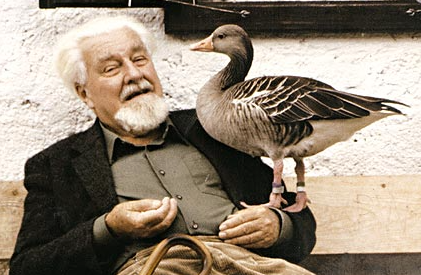 Lorenz Konrad: grondlegger van Ethologie