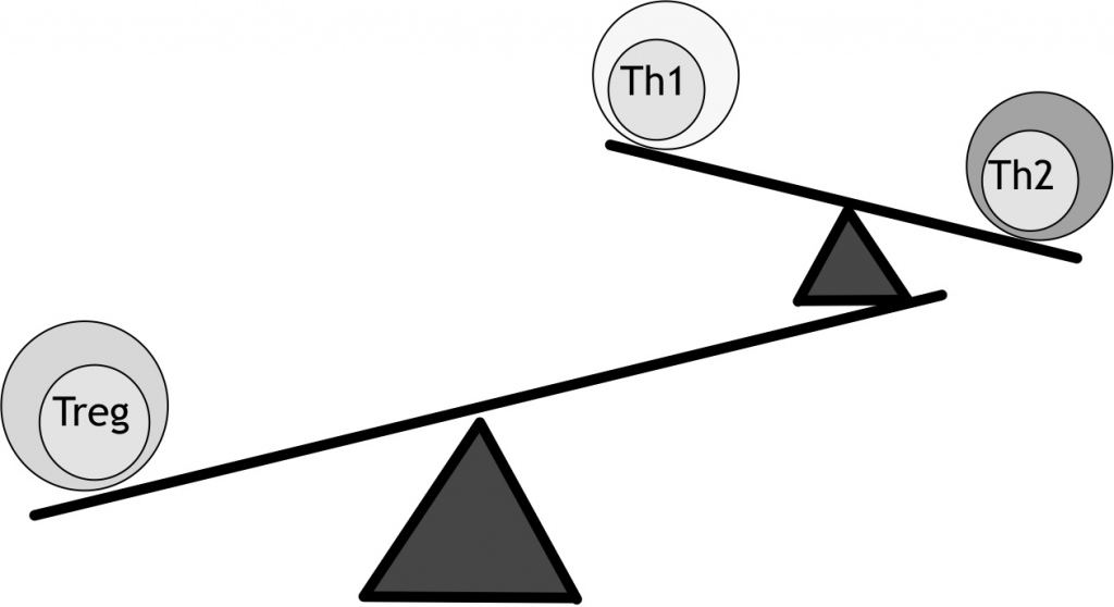Figuur 13.2 Balansen tussen T-helper cellen, type 1 en 2 en regulatoire T-cellen. Th1- en Th2-cellen onderdrukken elkaar waardoor een van beide typen uiteindelijk de overhand krijgt. Th1 en Th2 worden beide onderdrukt door regulatoire T-cellen en cytokinen.