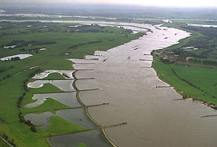 Kribben in de rivier