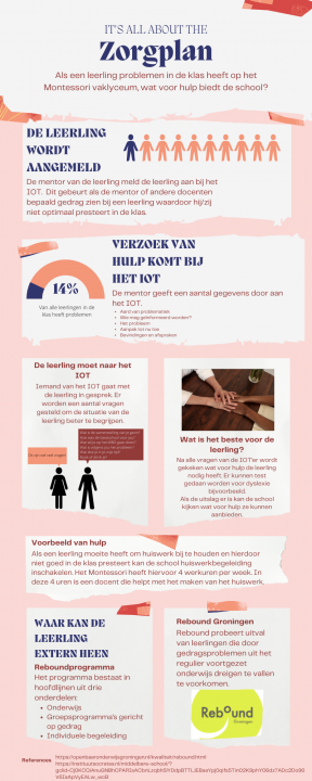 Zorgplan infografic