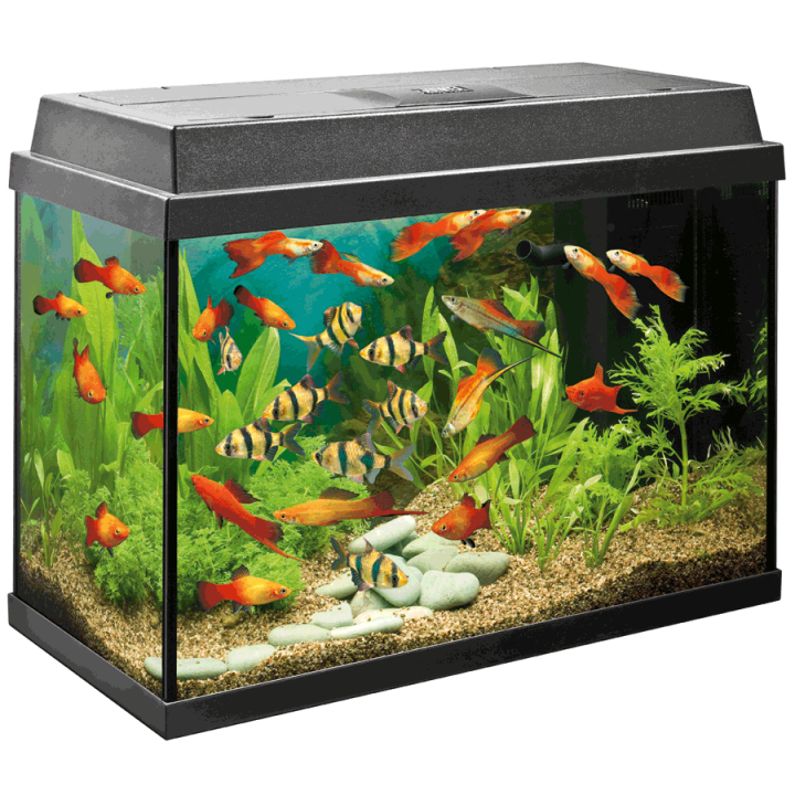 Dit aquarium is 30 cm breed 60 centimeter lang en 40 centimeter hoog. a) Bereken de oppervlakte van de bodem. b) Bereken de inhoud in liters.