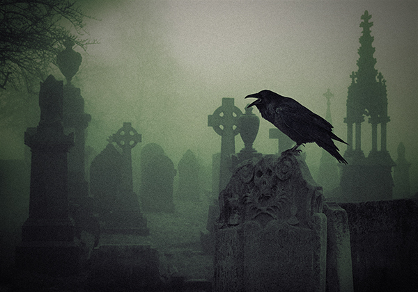 A raven on a graveyard