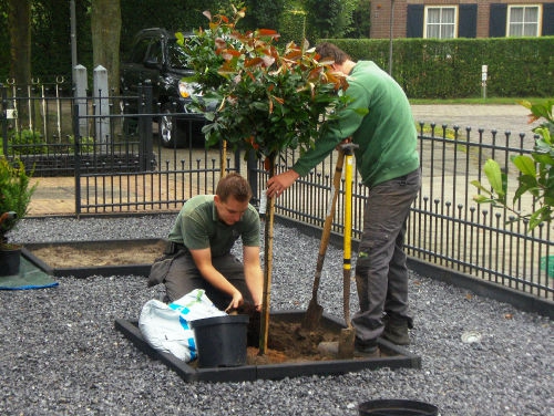 Foto: hoveniersbedrijfsanderbraat.nl