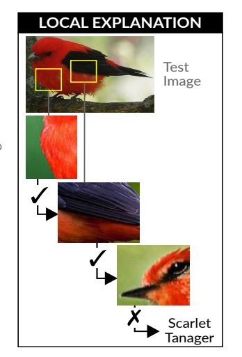 Picture on prototypes to couple deep learning with understandable explainations. From: Nauta, M., van Bree, R., & Seifert, C. (2021). Neural prototype trees for interpretable fine-grained image recognition. In Proceedings of the IEEE/CVF Conference on Computer Vision and Pattern Recognition (pp. 14933-14943).