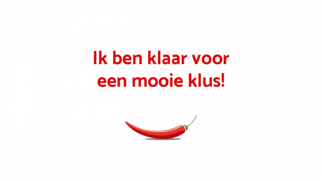 https://www.exsin.nl/ik-ben-klaar-voor-een-mooie-klus/