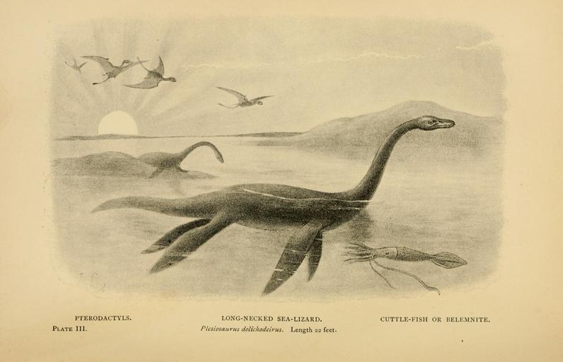 Plesiosaurus, naast andere beesten
