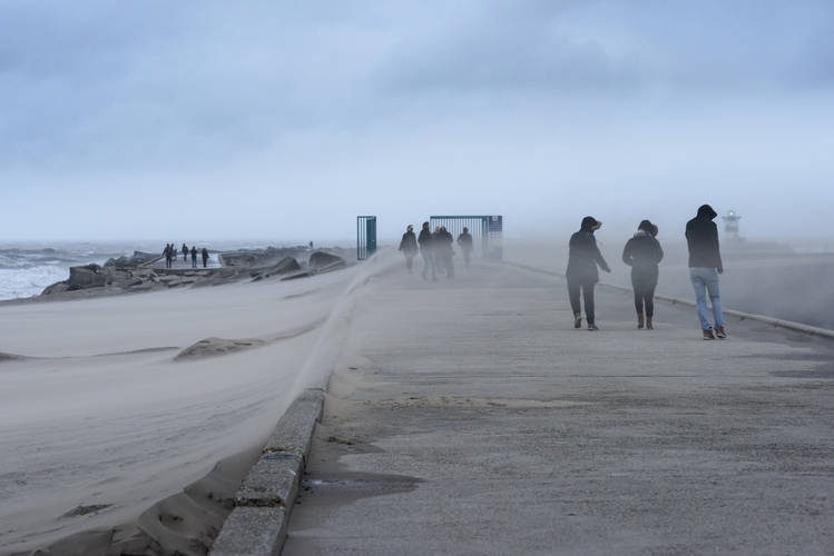 In de winter kan het wel eens hard waaien. Welke windkracht zal dit zijn?