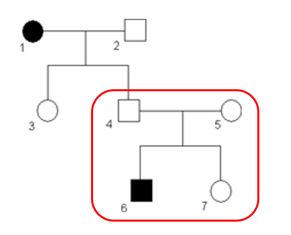 Afbeelding 3: Dominant of recessief?