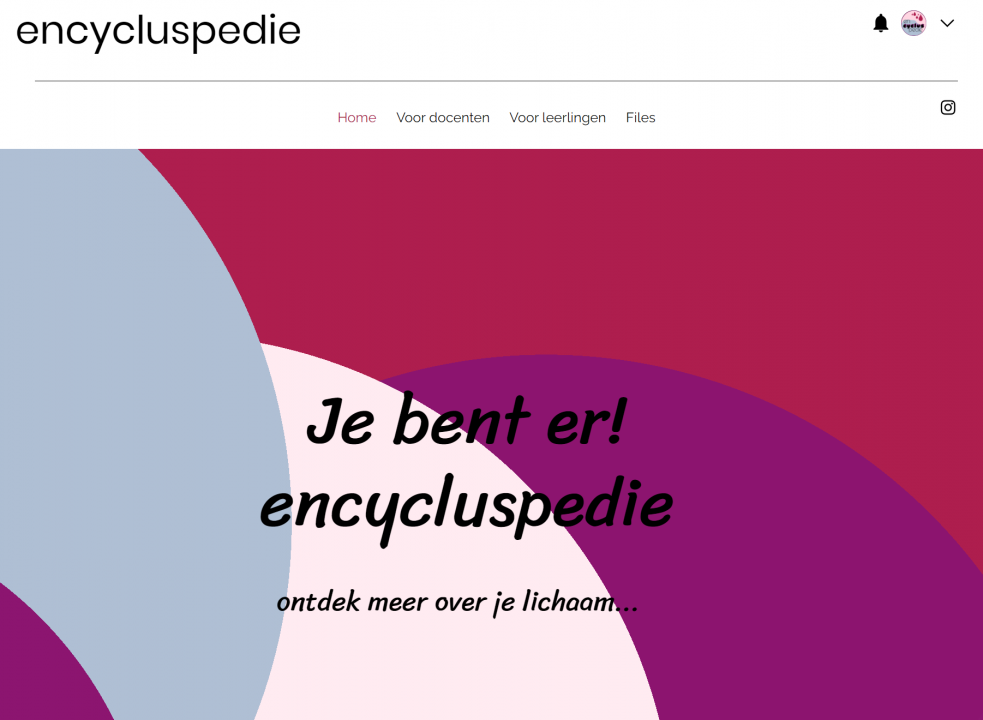 Beginpagina van de website