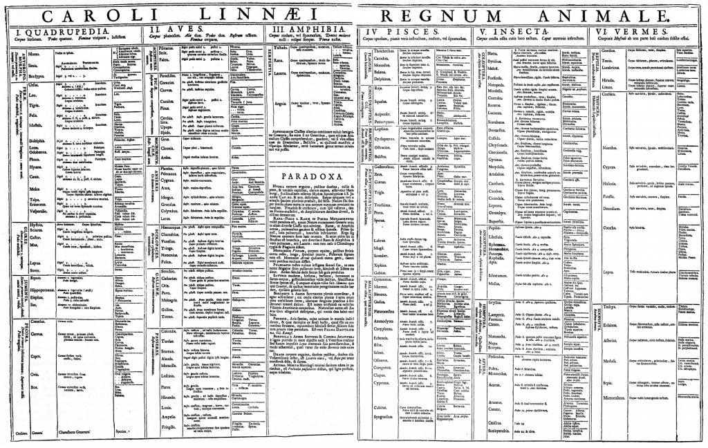 Linnaeus' indeling van het dierenrijk