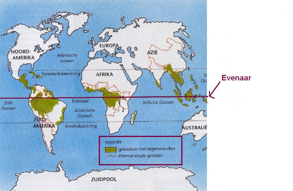 Wereldkaart met tropische regenwouden