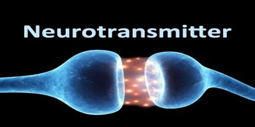 Neurotransmitter