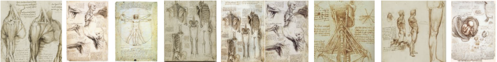 Anatomische schetsen van Leonardo Da Vinci