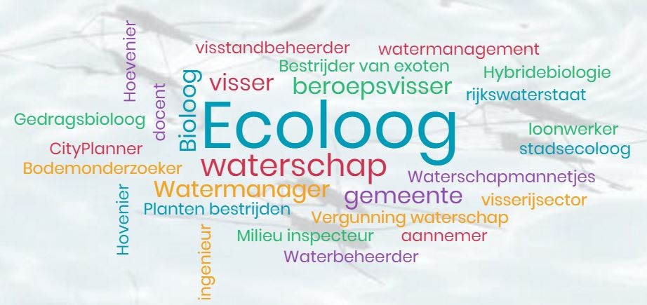 Mindmap beroepen Aquatische Ecologie