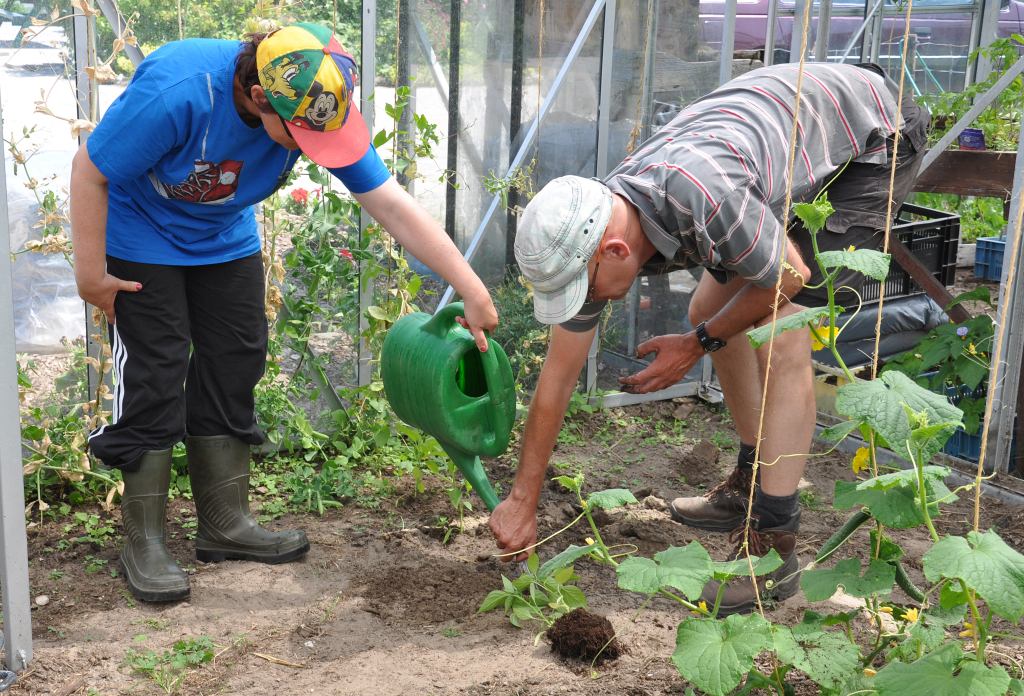 Moestuin op de zorgboerderij