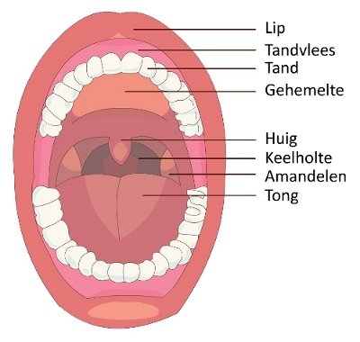 Auteur onbekend. Gezondheidsplein. Geraadpleegd op: 10-01-2020. 