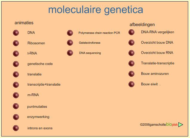 Website 9. Informatie over DNA  (www.bioplek.org)