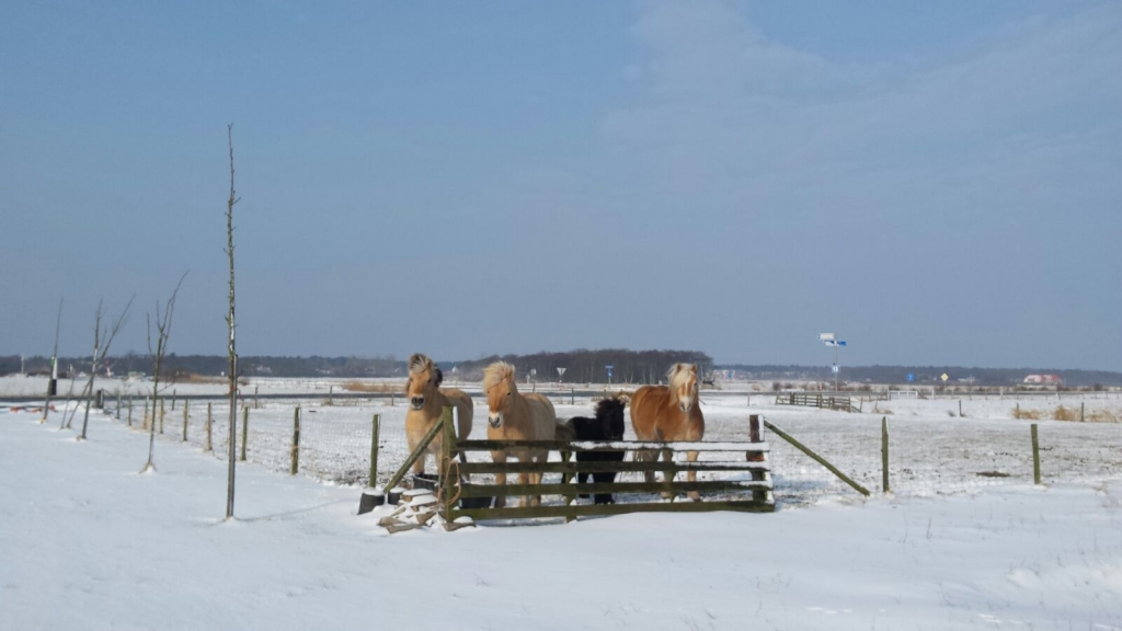 Binnenkort geen sneeuw meer in Nederland?