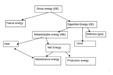 Energieschema