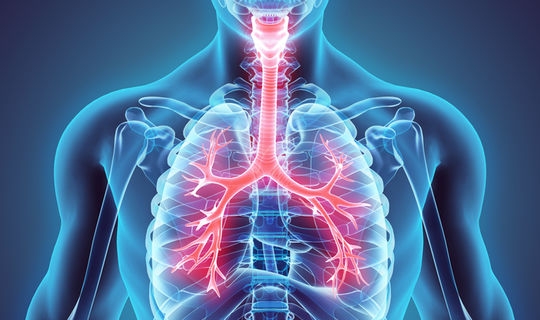 Afbeelding 7, Bron: netdokter.ch