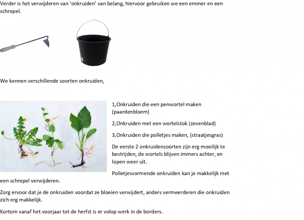 Onkruiden in een vaste-planten border
