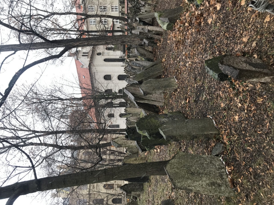Begraafplaats van overleden joden uit Praag